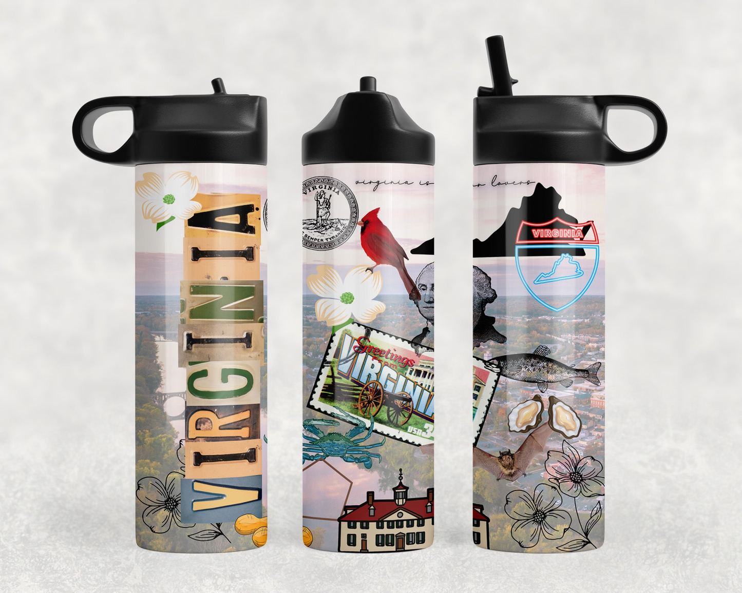 Virginia Steel Water Bottle