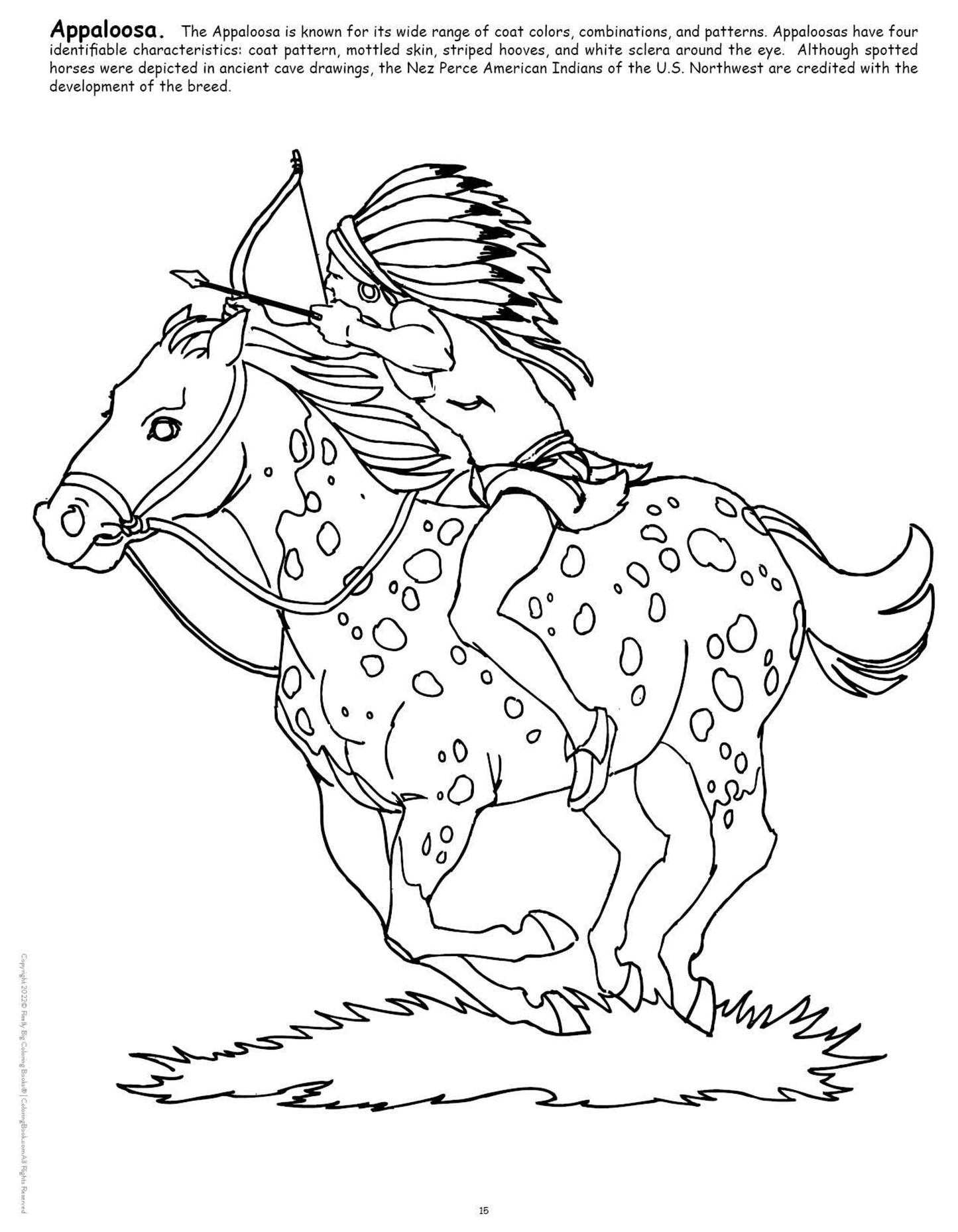 Big Book of Horses Coloring Book