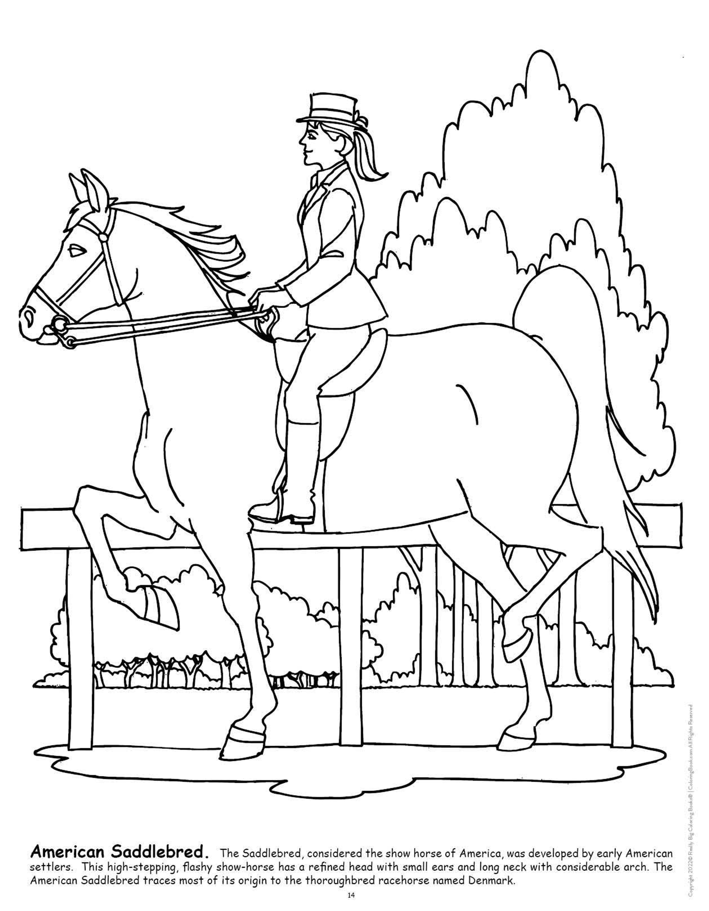 Big Book of Horses Coloring Book