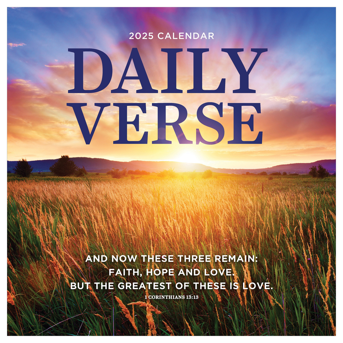 2025 Daily Verse Wall Calendar