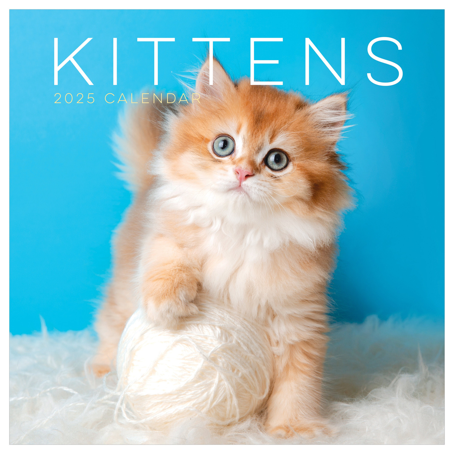 2025 Kittens Wall Calendar