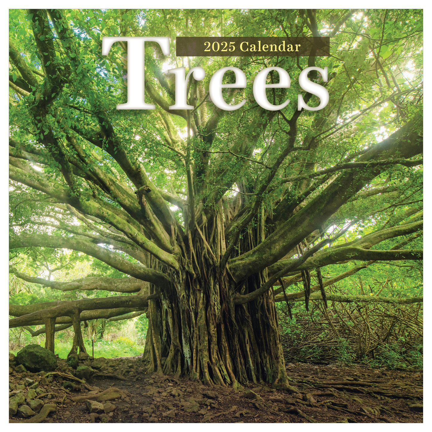 2025 Trees Wall Calendar