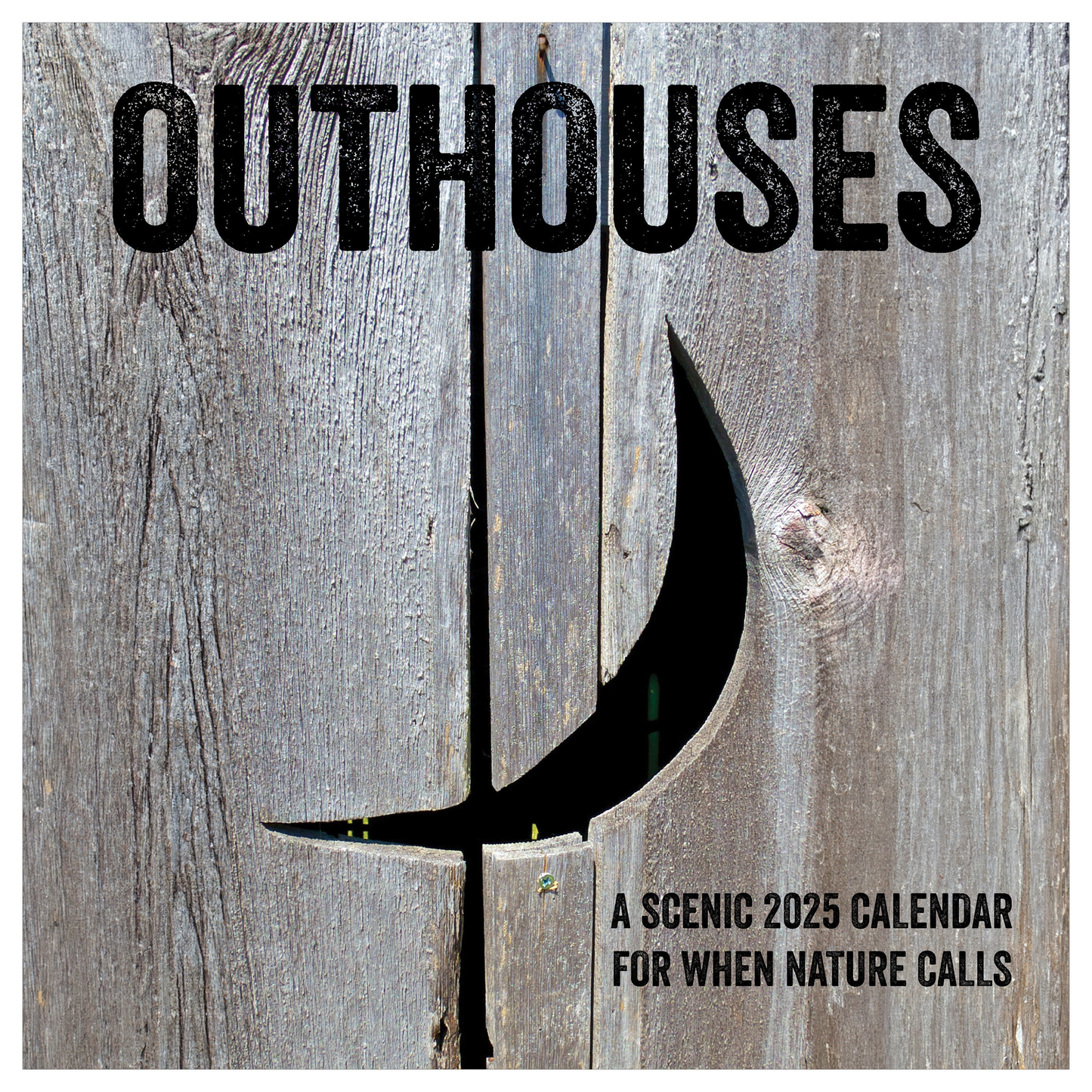 2025 Outhouses Wall Calendar