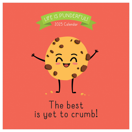 2025 Puns of Fun Wall Calendar