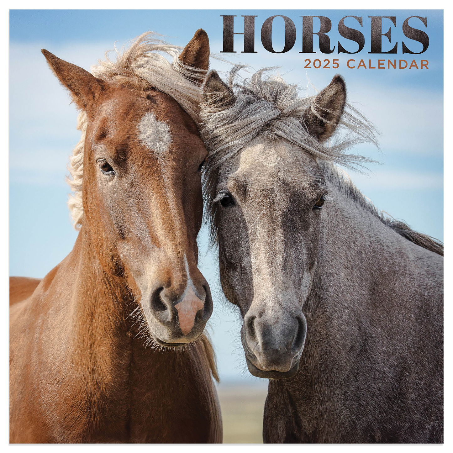 2025 Horses Mini Calendar