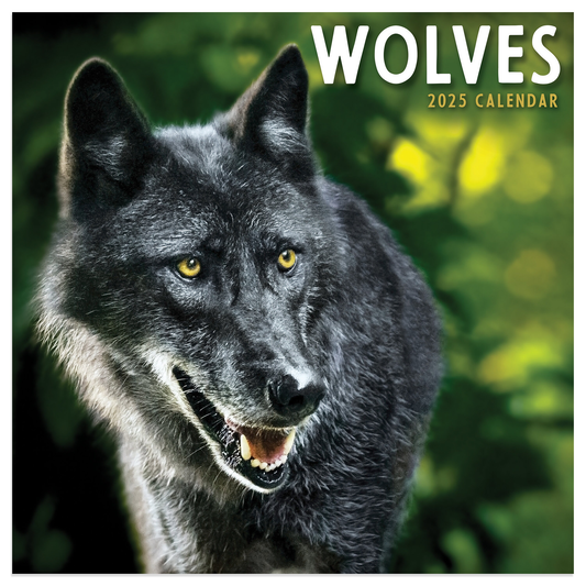 2025 Wolves Mini Calendar