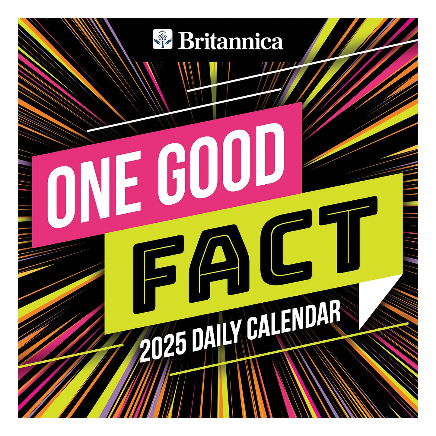 2025 One Good Fact Daily Desktop Calendar