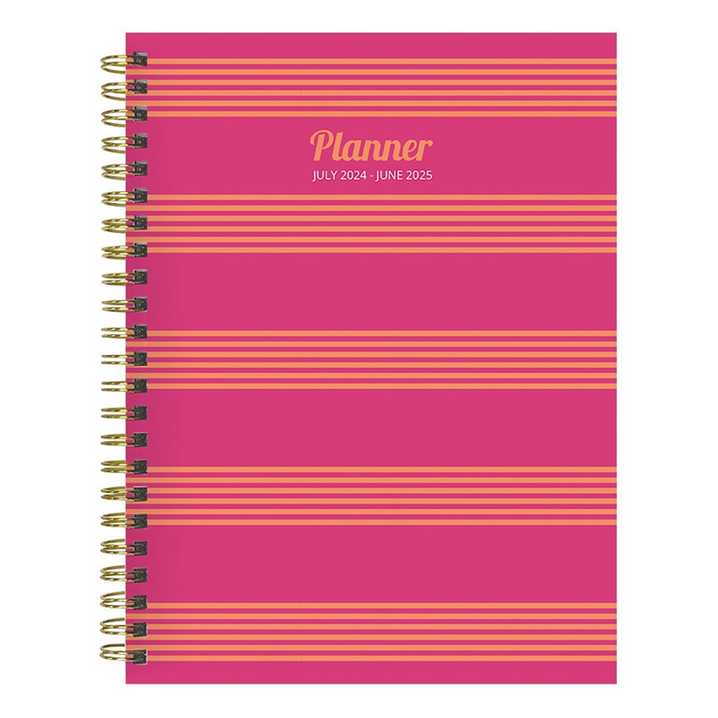 July 2024 - June 2025 Cabana Stripe Medium Weekly Monthly Planner