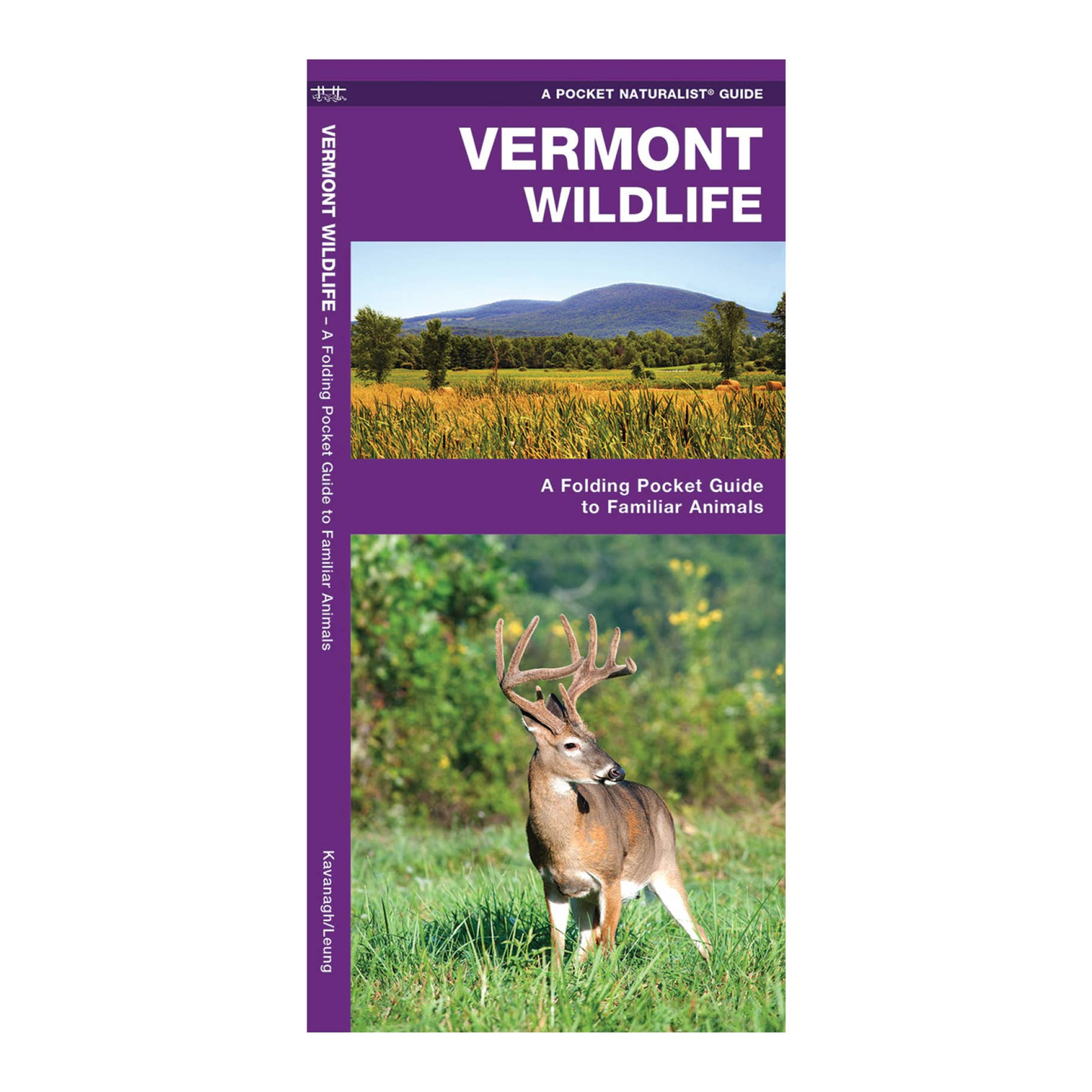 Vermont Wildlife