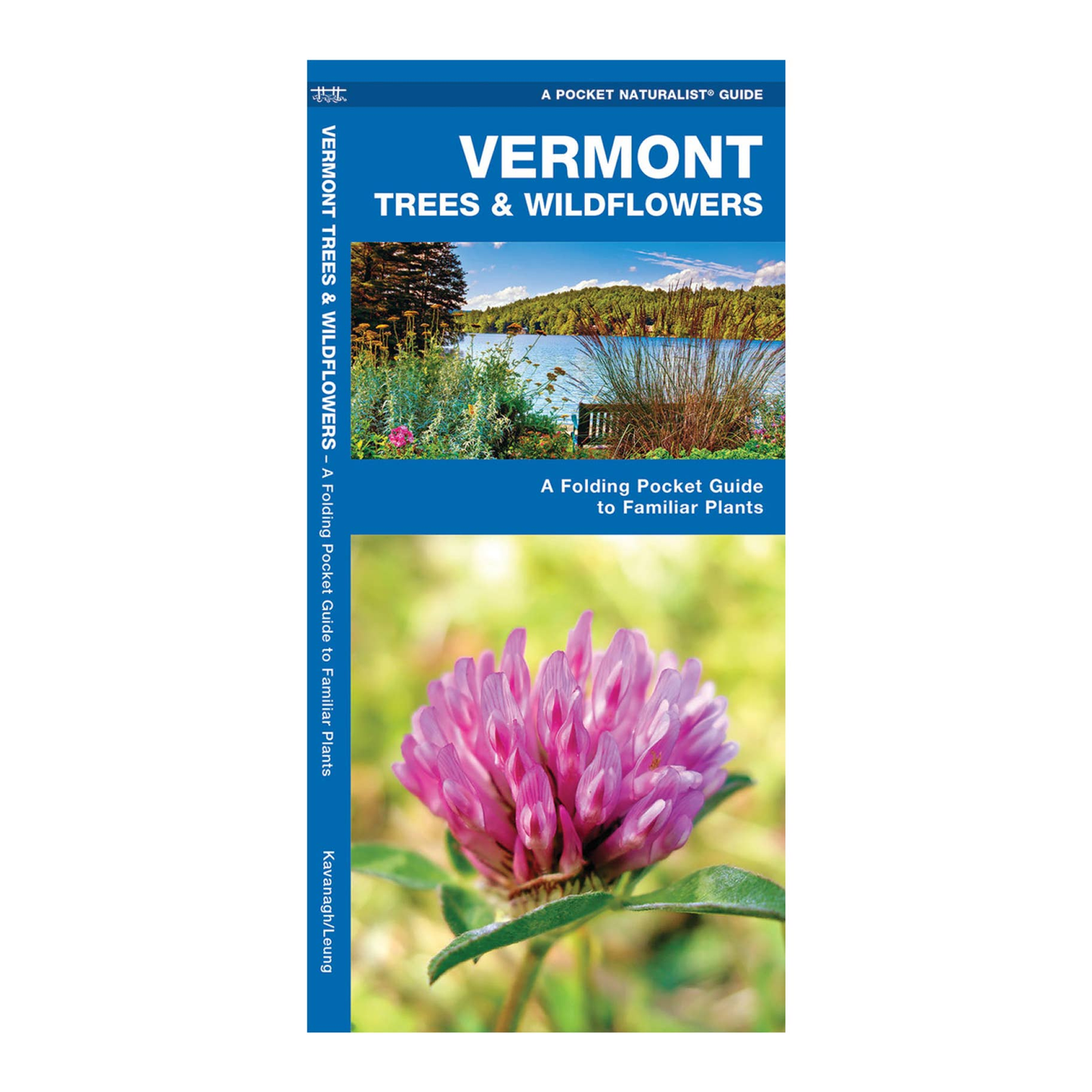 Vermont Trees & Wildflowers