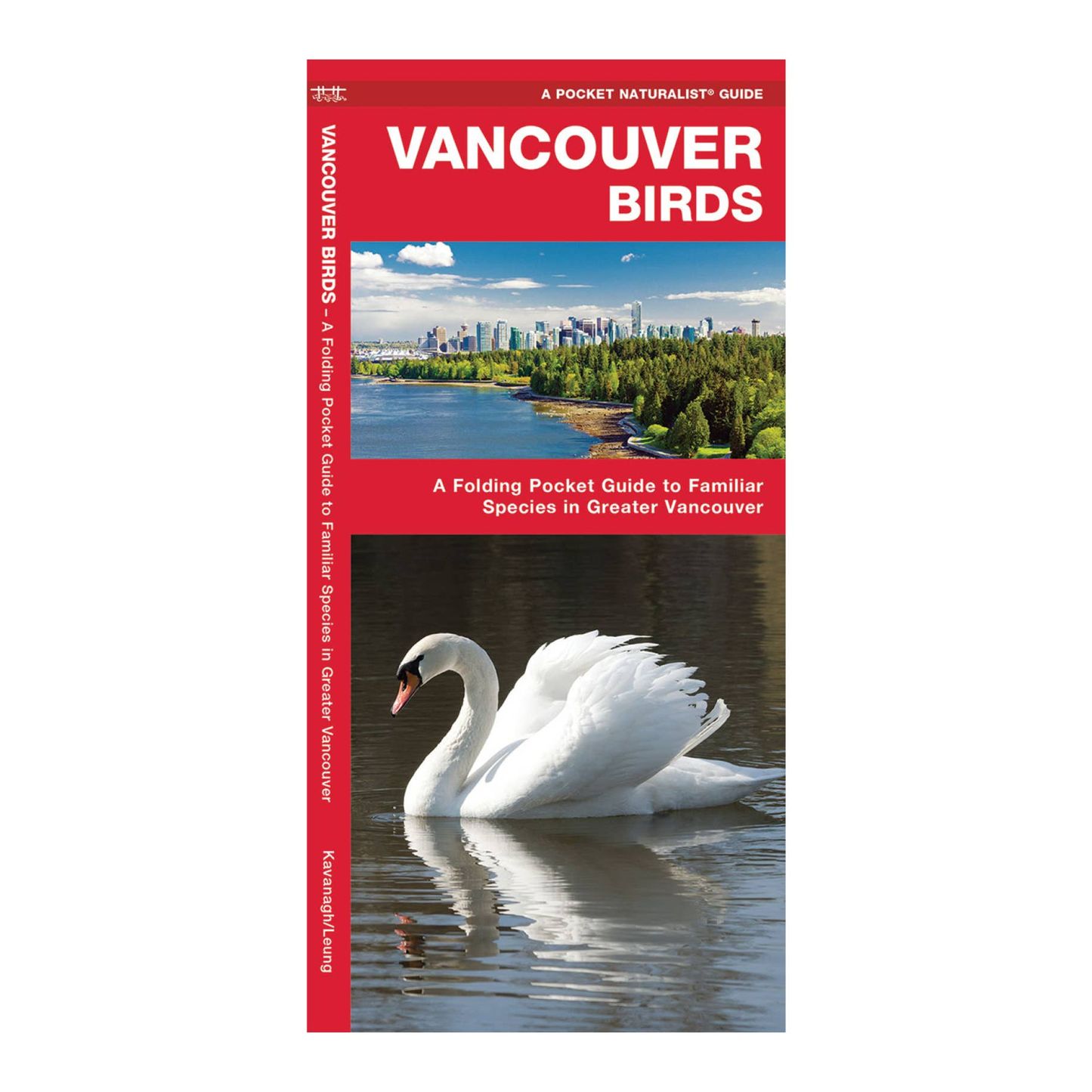 Vancouver Birds