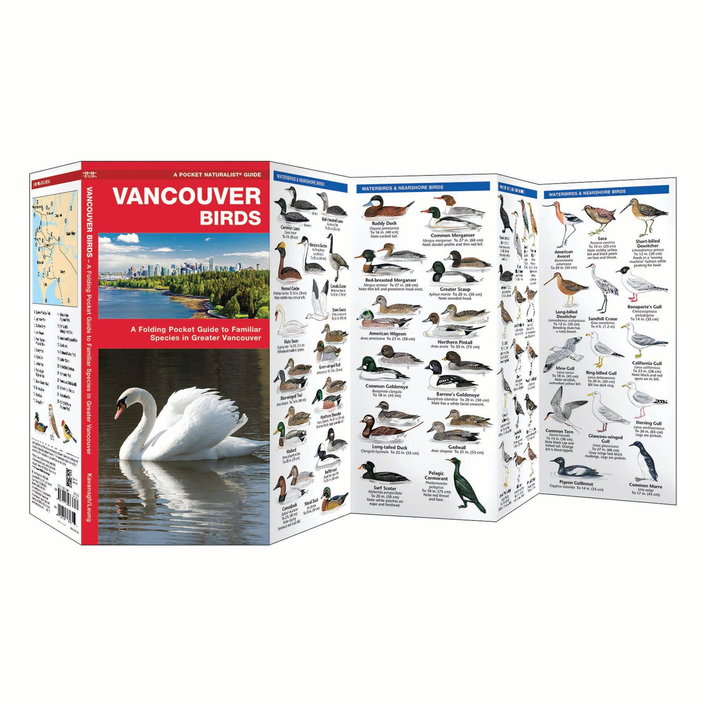 Vancouver Birds