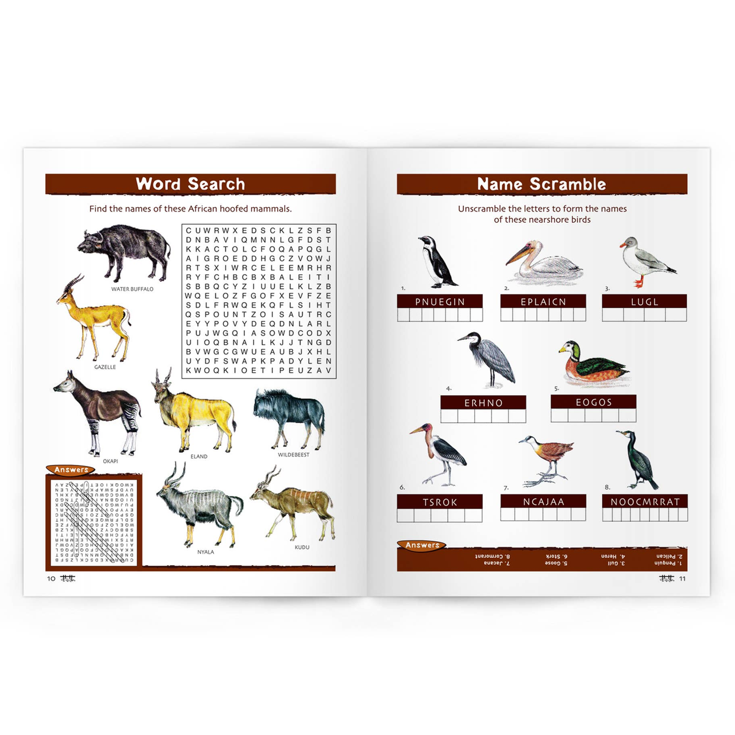 African Wildlife Nature Activity Book