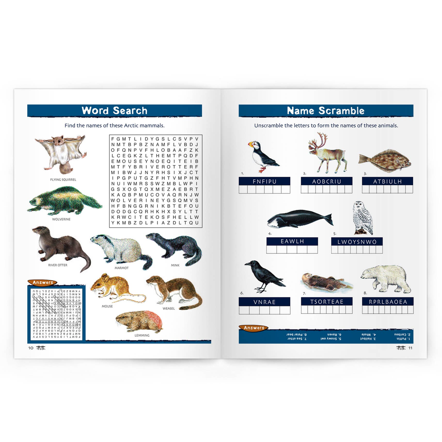 Arctic Wildlife Nature Activity Book