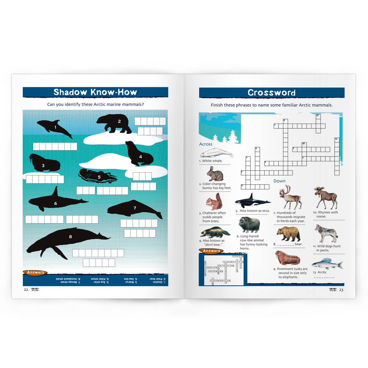 Arctic Wildlife Nature Activity Book