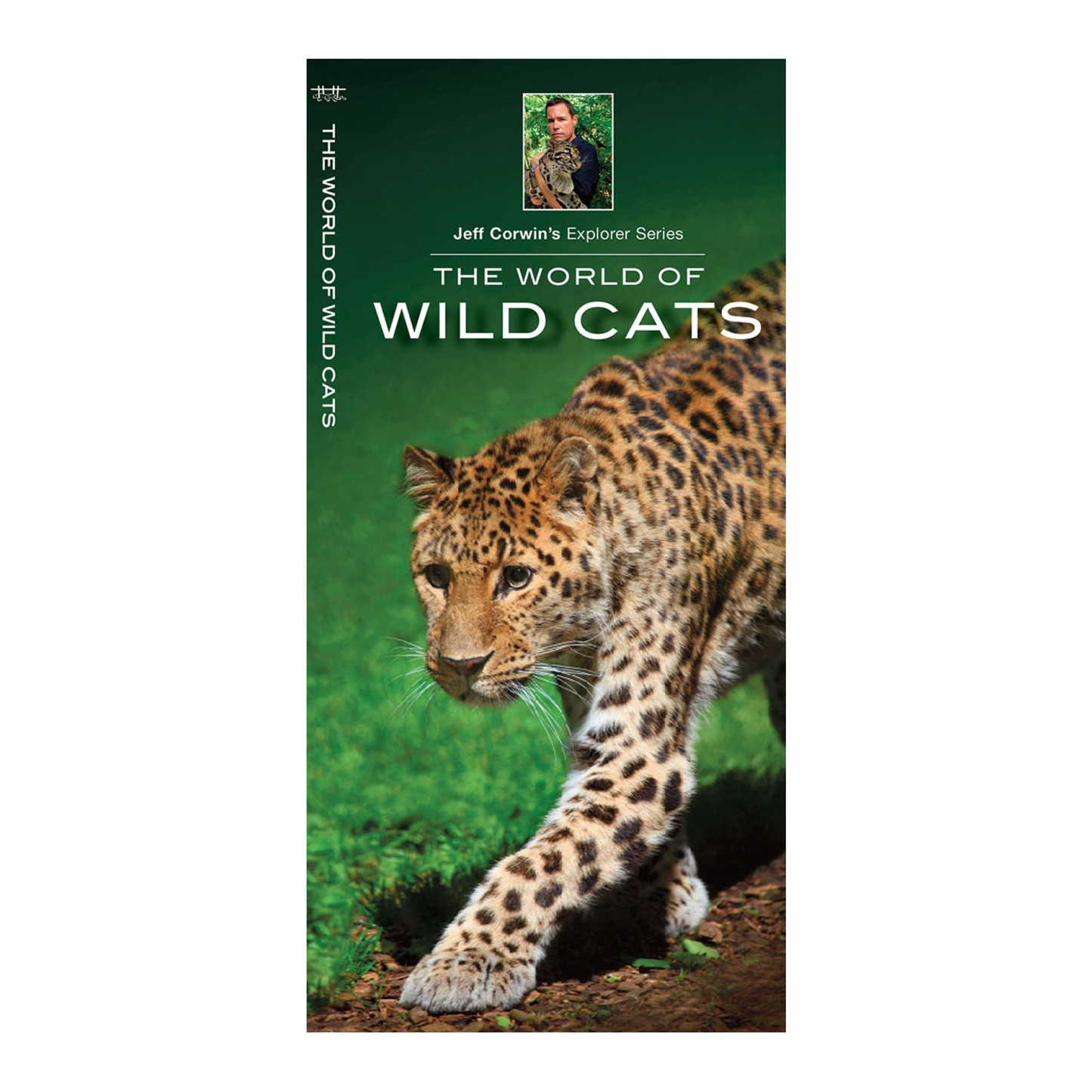 World of Wild Cats, The