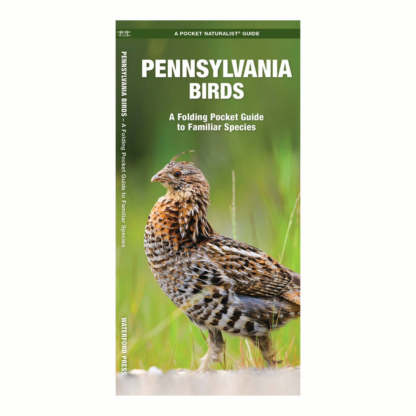 Pennsylvania Birds