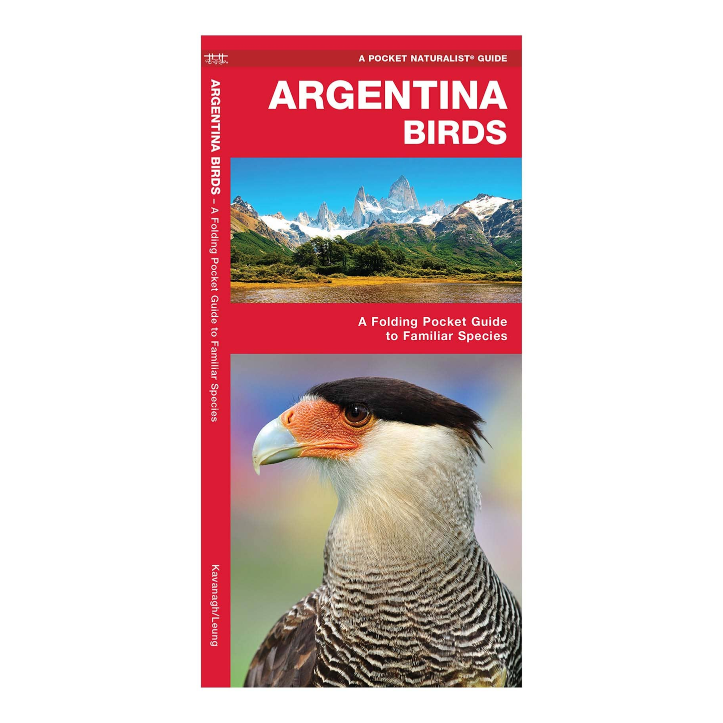 Argentina Birds