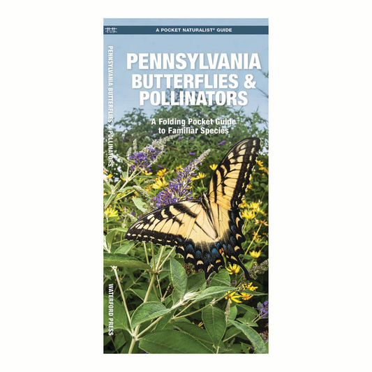 Pennsylvania Butterflies & Pollinators