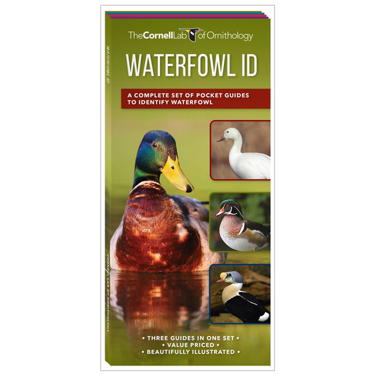 Waterfowl ID Set