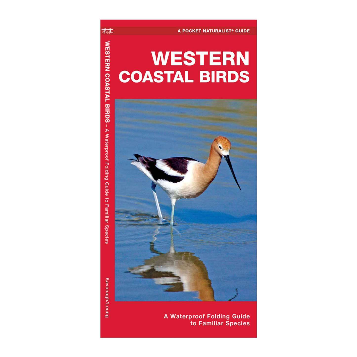 Western Coastal Birds