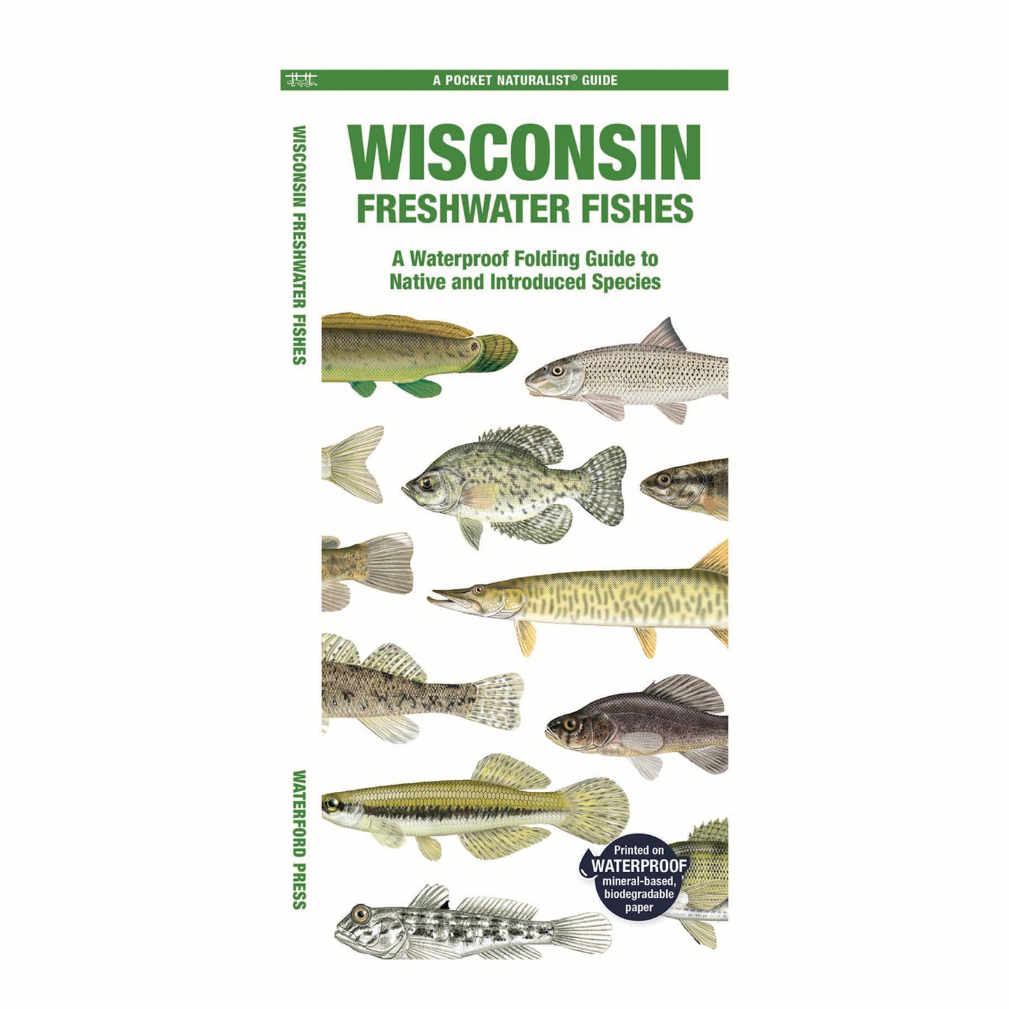 Wisconsin Freshwater Fishes