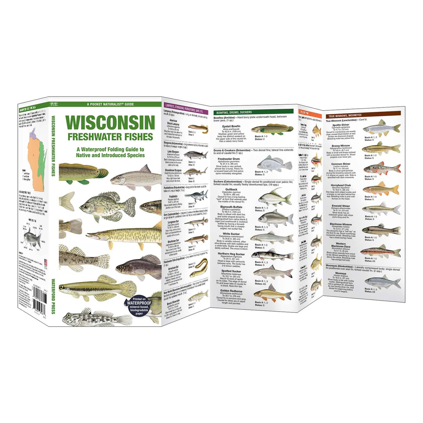 Wisconsin Freshwater Fishes