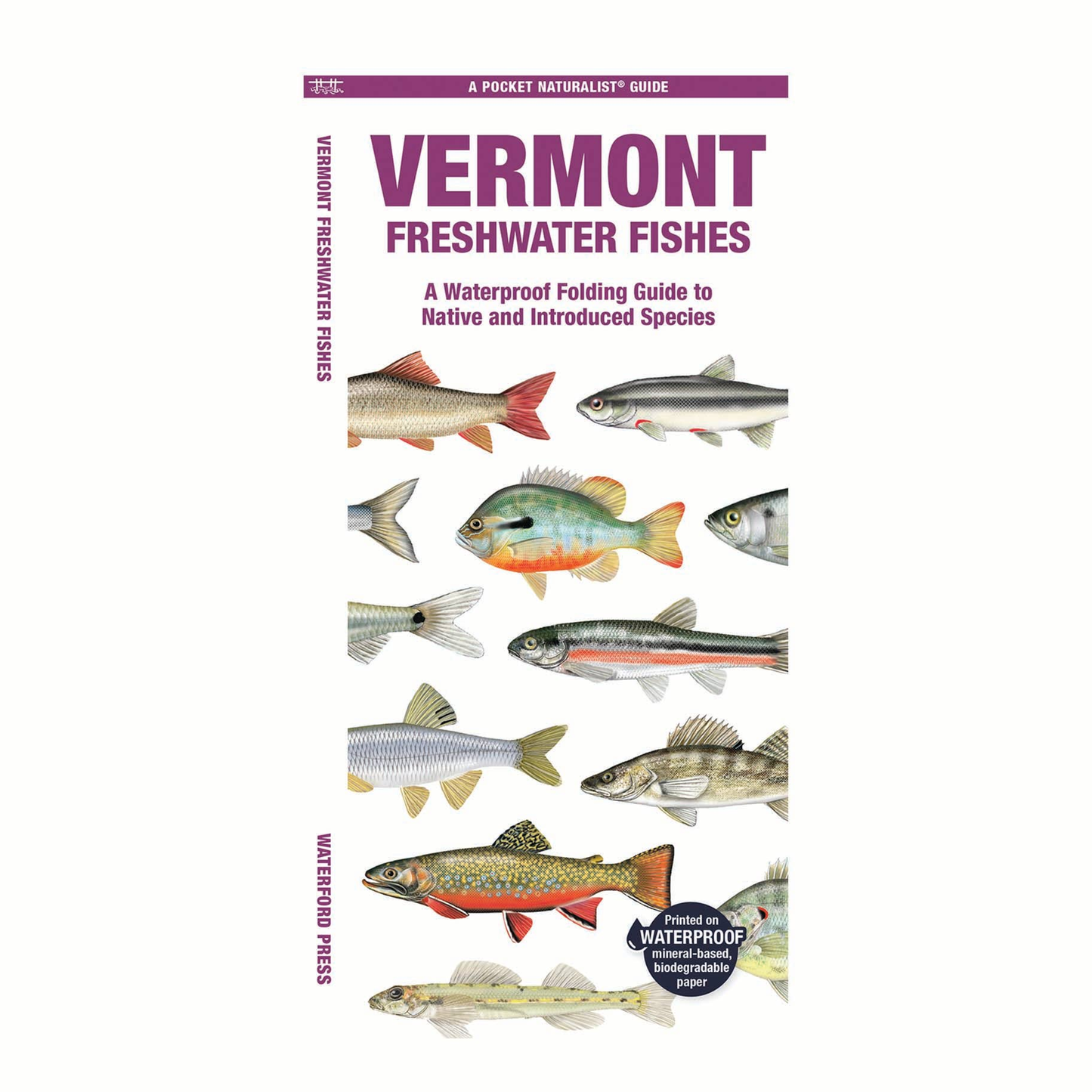 Vermont Freshwater Fishes