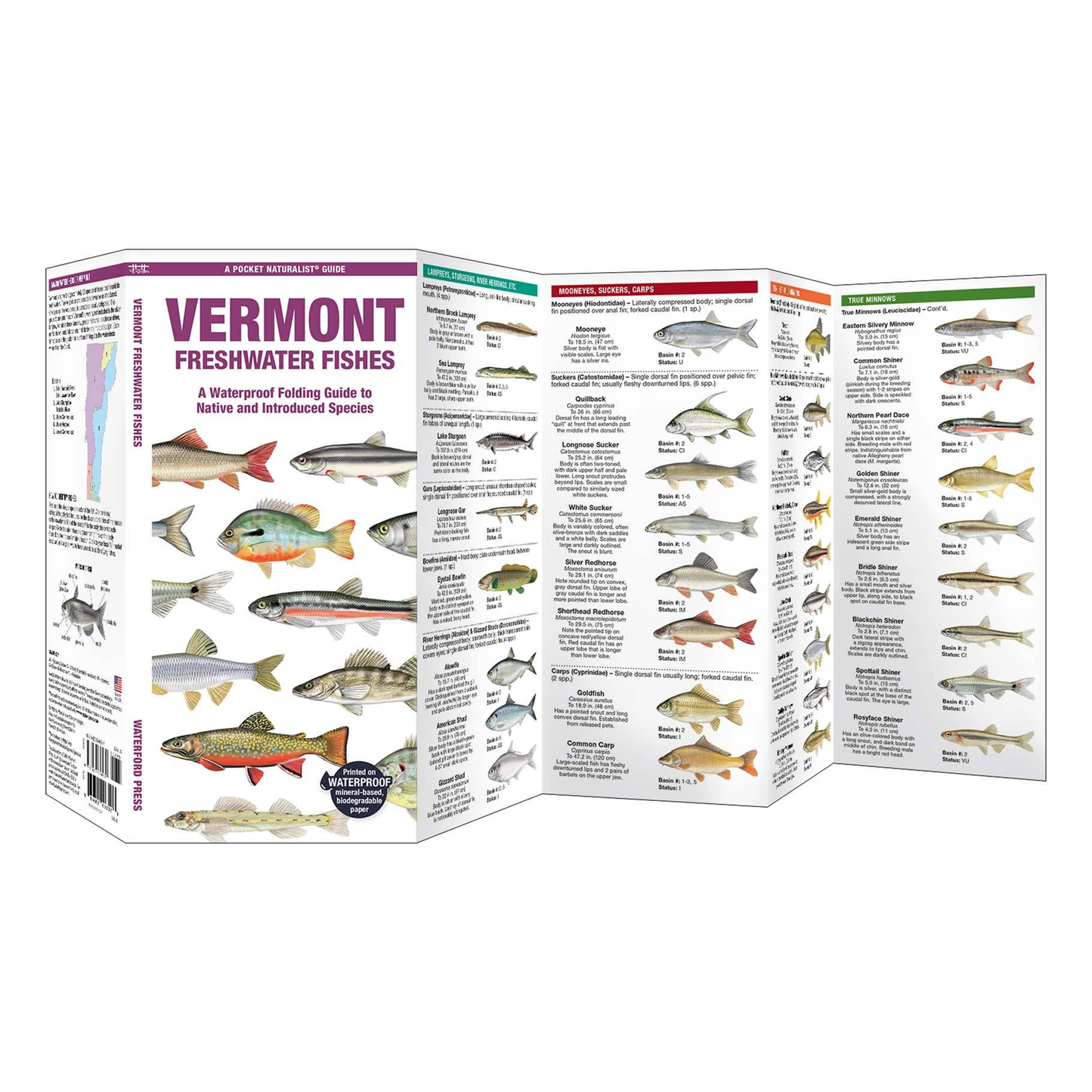 Vermont Freshwater Fishes