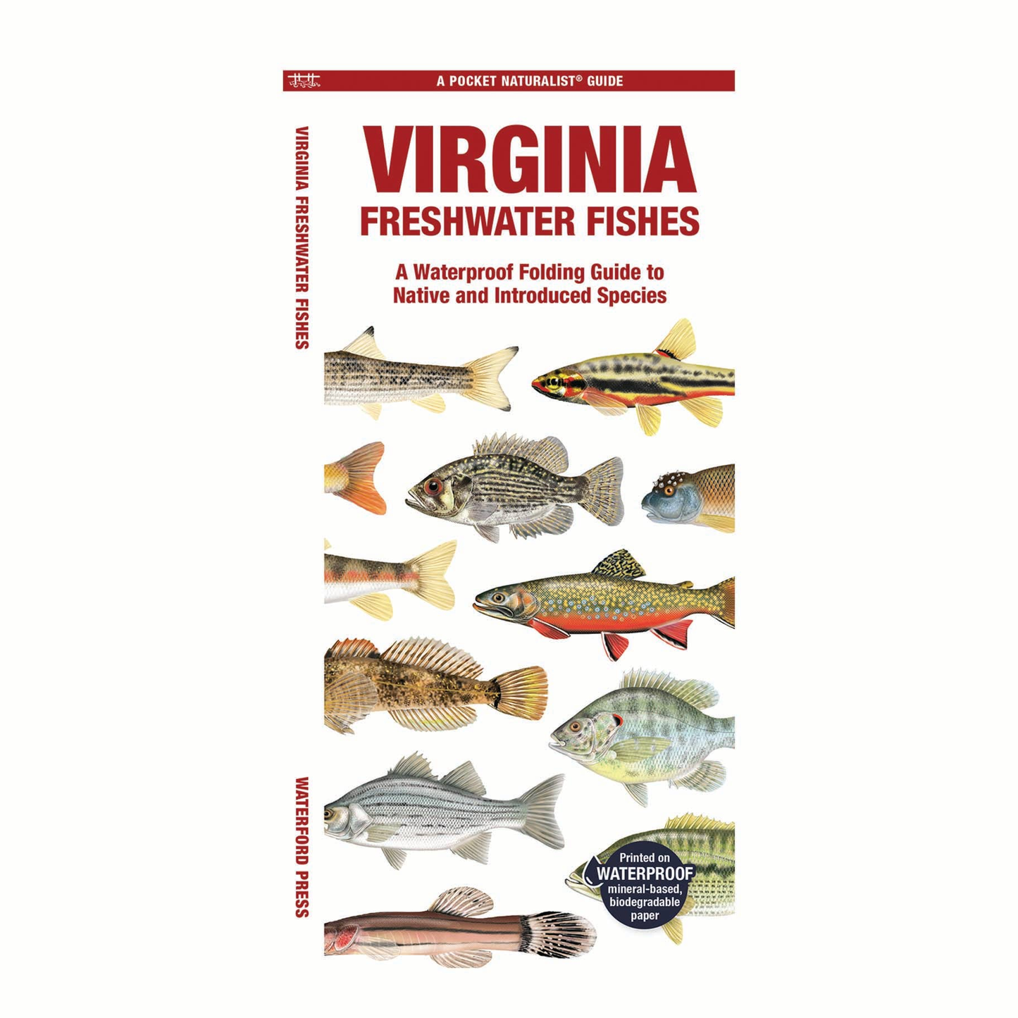 Virginia Freshwater Fishes