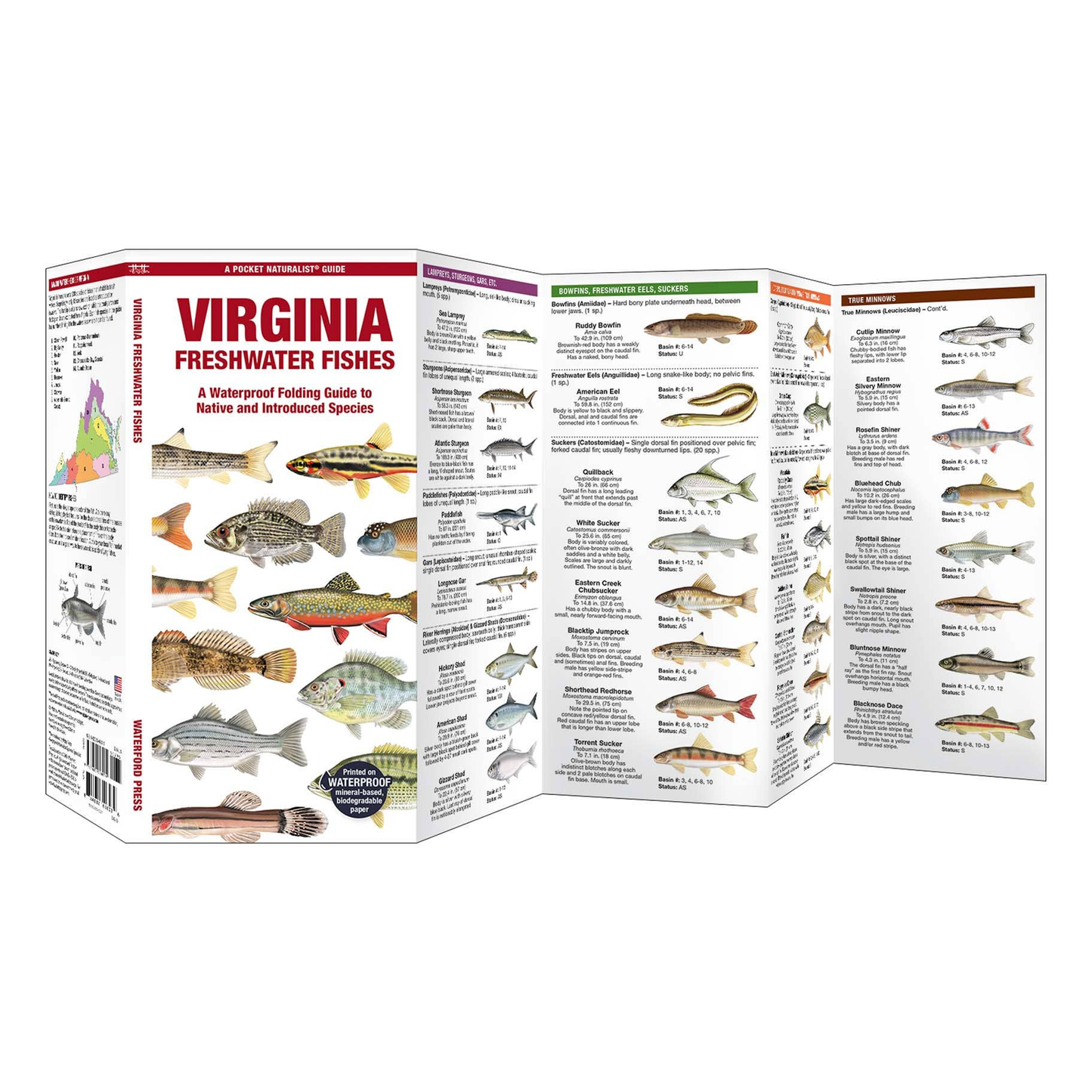 Virginia Freshwater Fishes