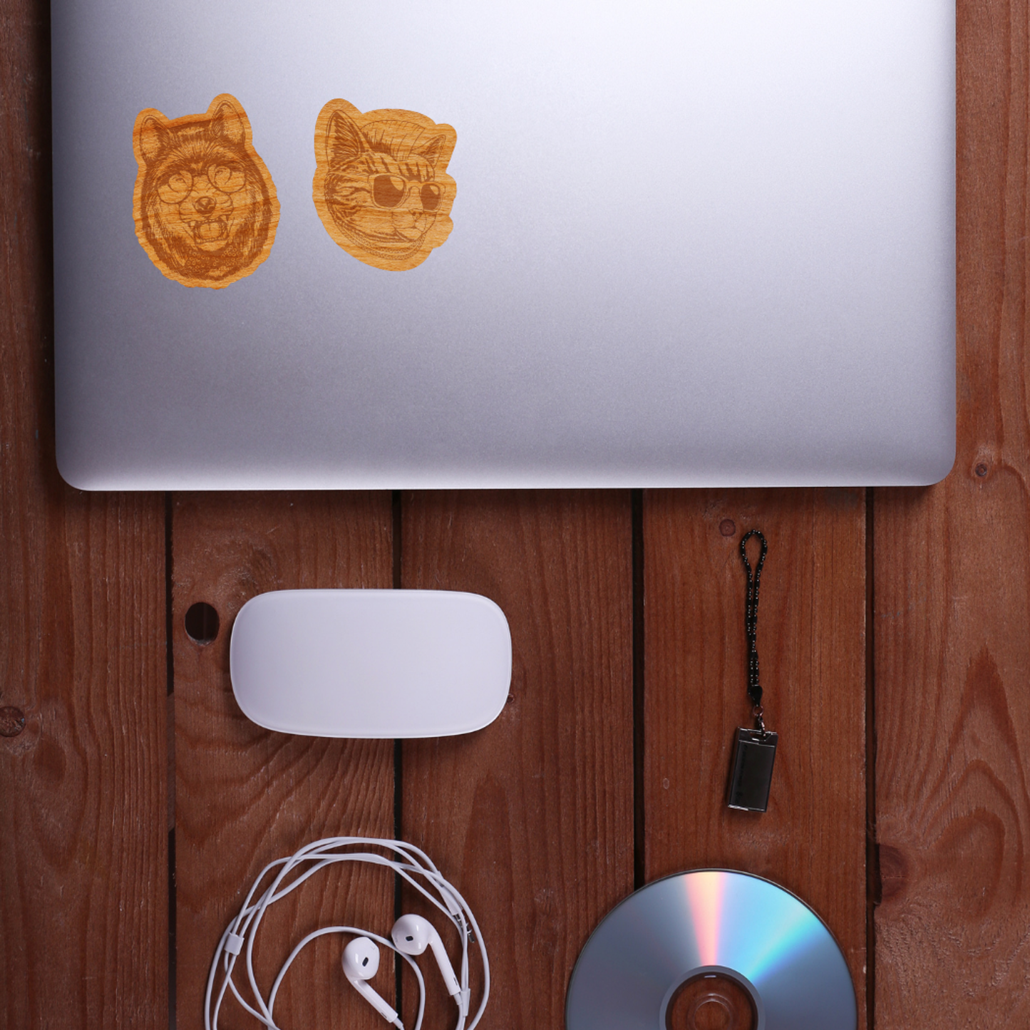 Wood Cat Sticker, Funny Hipster "Mr. Kit T"