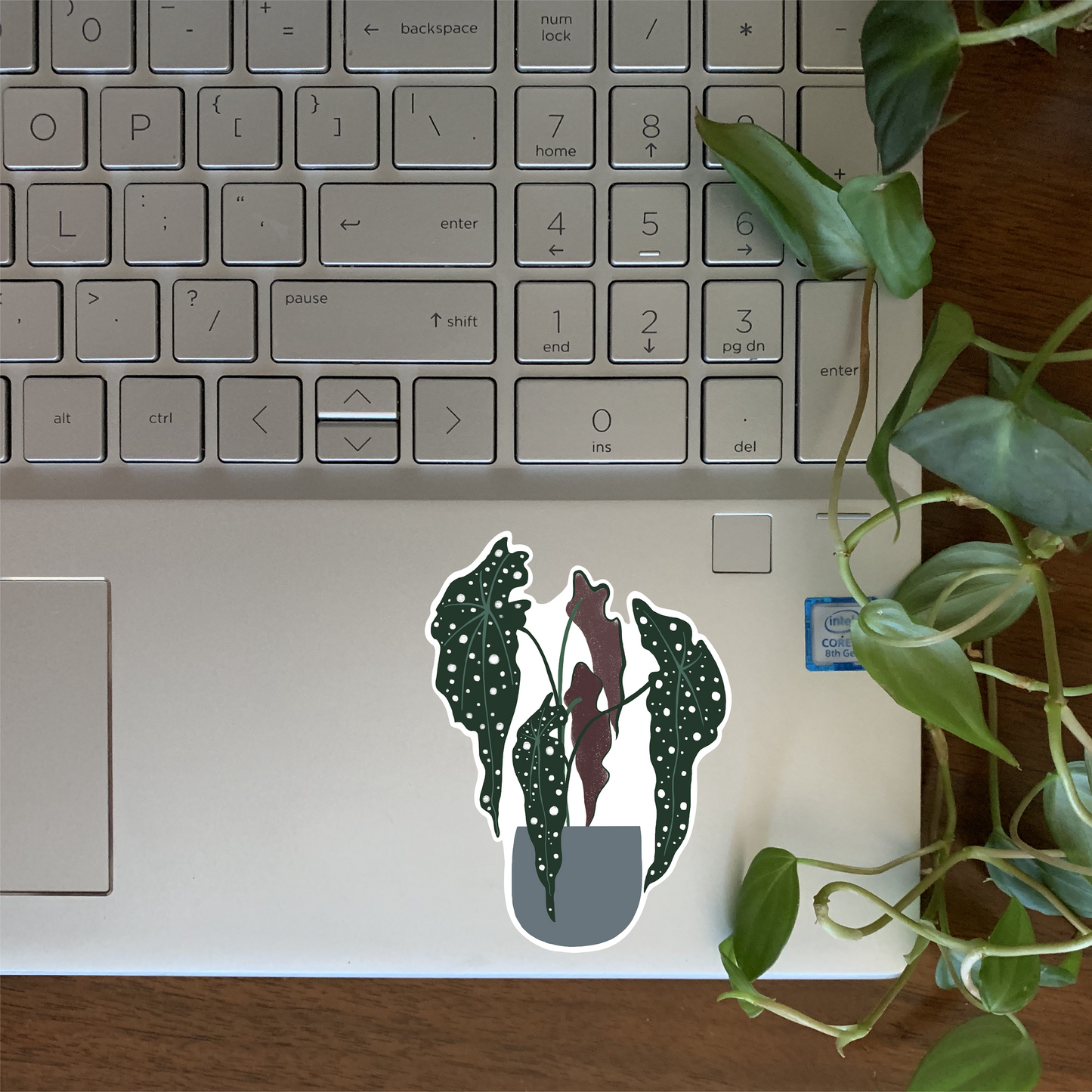 Philodendron Sticker