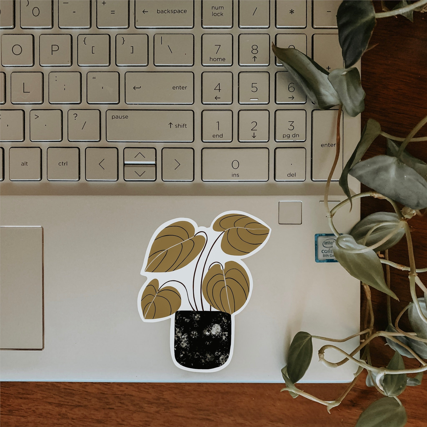 Philodendron Sticker