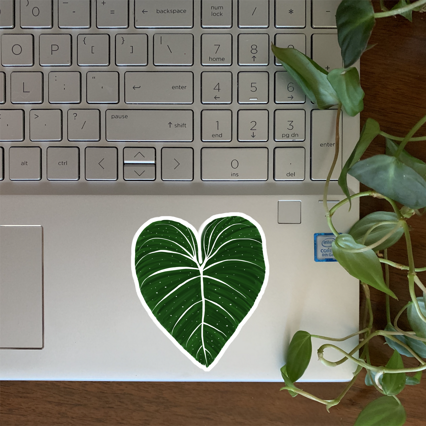 Philodendron Sticker