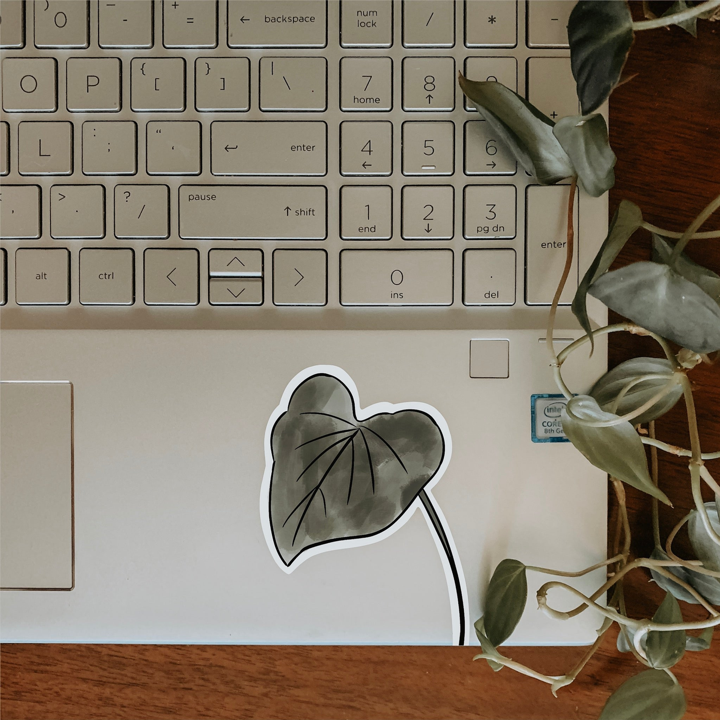 Philodendron Sticker