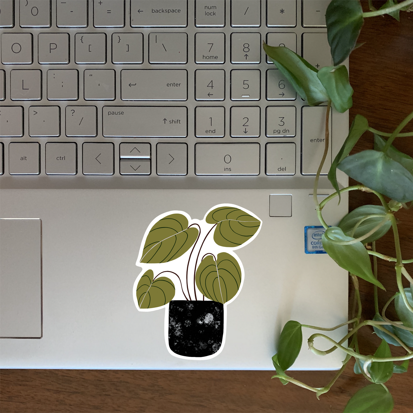 Philodendron Sticker